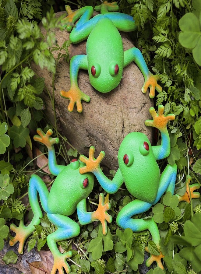 Lohoee 5 Pieces Frog Toys Realistic Frog Amphibian Figures Simulation Animal Model Frog Soft Stretchy Stress Relief Hand Frog Toy for Home Party Decorations or Gift - Image 5